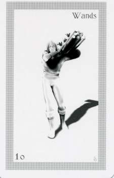 ShadowFox Tarot by Richard ShadowFox