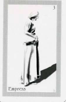 ShadowFox Tarot by Richard ShadowFox