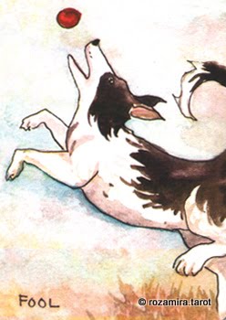 BlueDogRose Tarot by Nakisha VanderHoeven