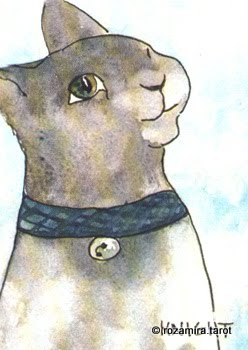 BlueDogRose Tarot by Nakisha VanderHoeven