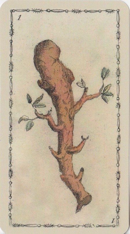 Ancient Tarot Of Lombardy