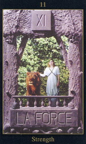 The Vision Tarot