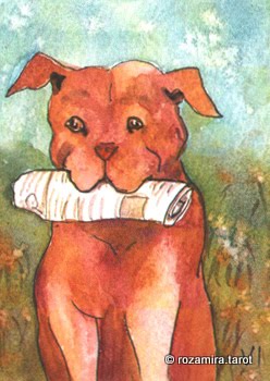 BlueDogRose Tarot by Nakisha VanderHoeven