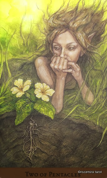 Tarot of the Hidden Realm