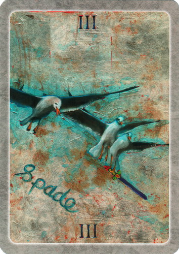 Secret Language of Birds Tarot