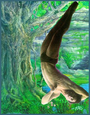 Full Moon Dreams Tarot