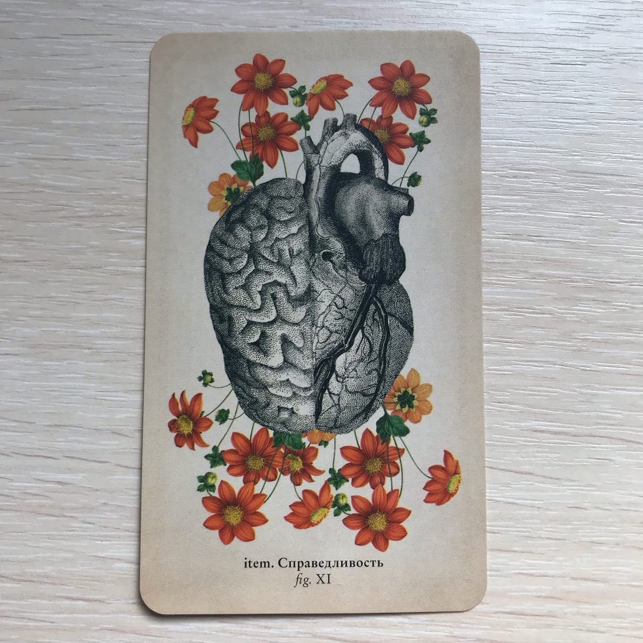 Таро Античной Анатомии