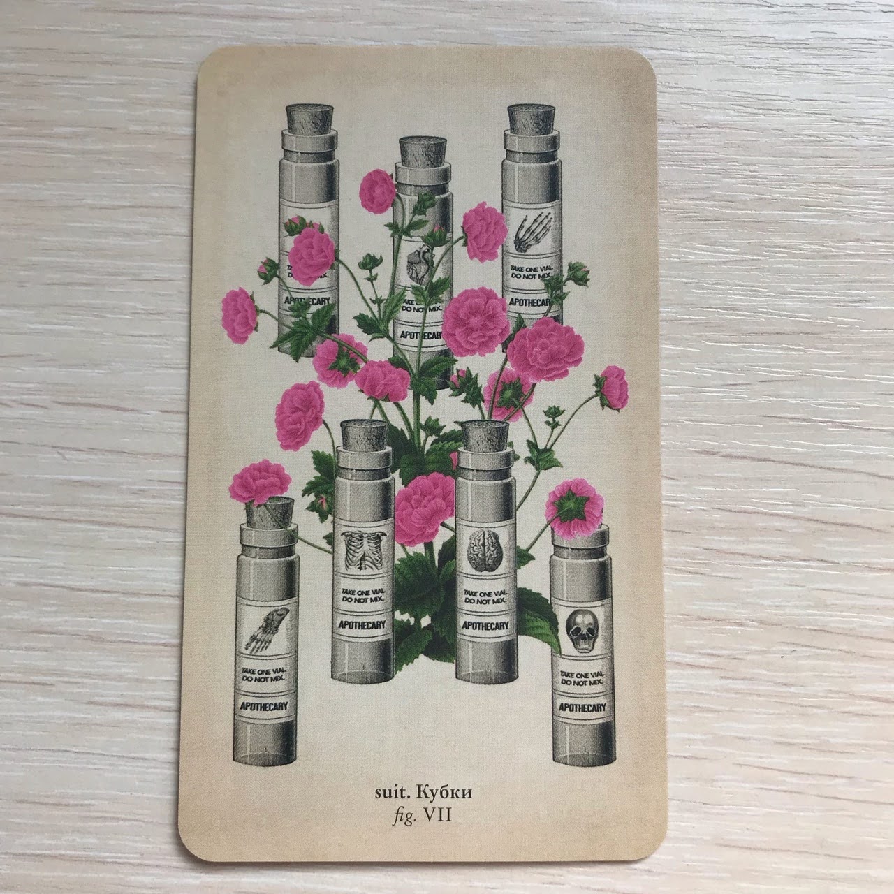 Таро Античной Анатомии