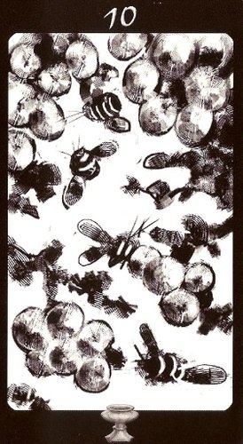 Tarot of the Secret Forest