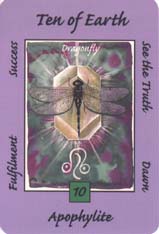 Australian Animal Tarot