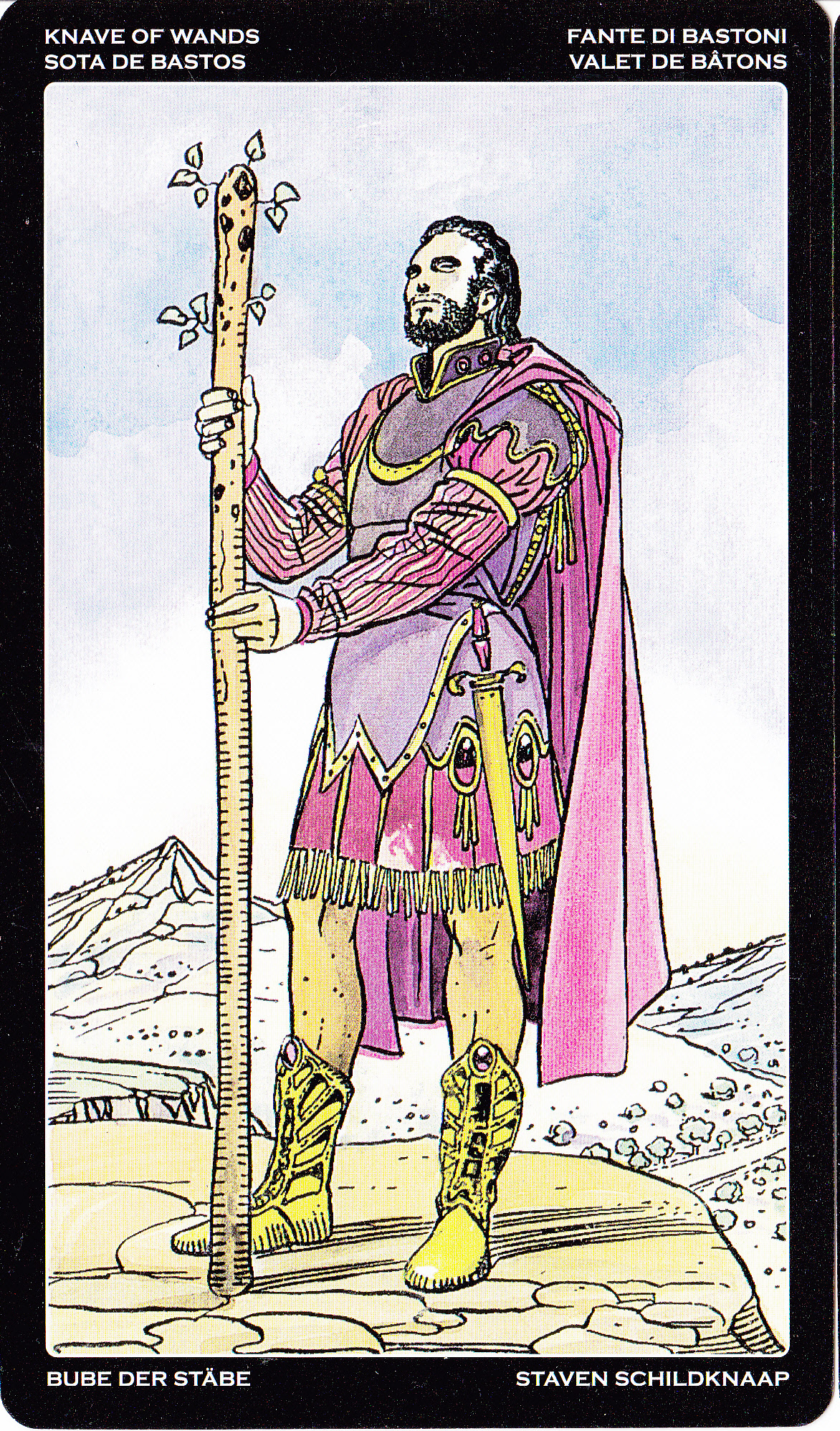 Универсальное профессиональное таро (большие)