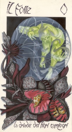 Tarocchi della Corte di Merlino