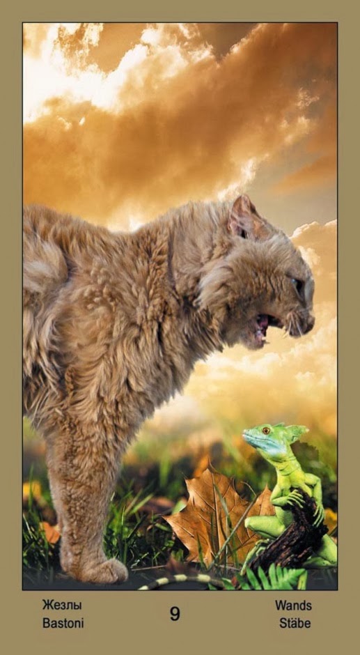 Таро Катавасия (Tarot Cat-A-Vasya)