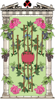 Tarot card ver.2008