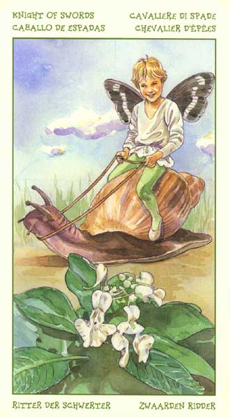 The Spirit of Flowers Tarot