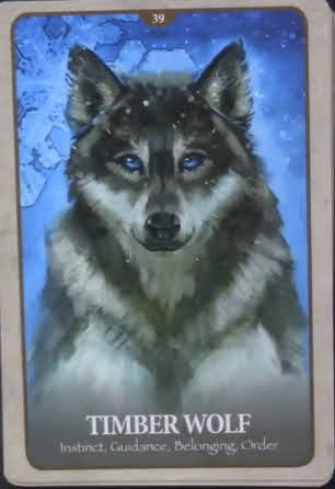 Secret Language of Animals Oracle - Оракул Тайный Язык Животных