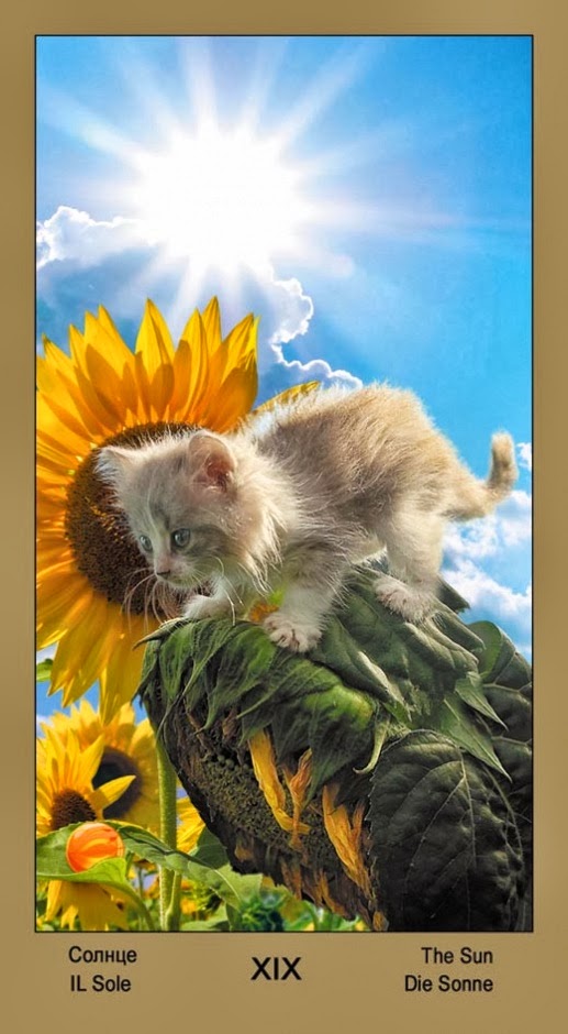 Таро Катавасия (Tarot Cat-A-Vasya)