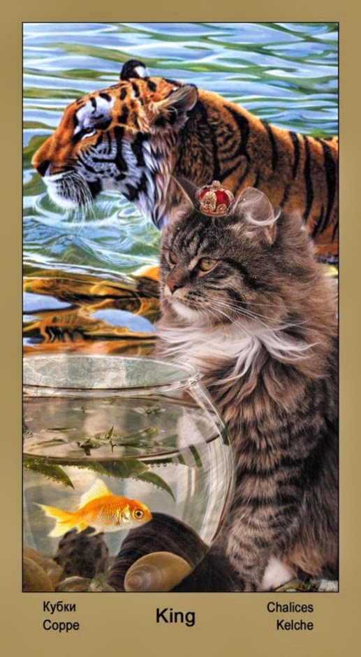 Таро Катавасия (Tarot Cat-A-Vasya)