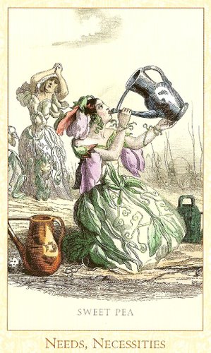 Victorian Flower Oracle