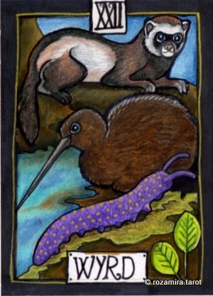 New Zealand Naturally Tarot