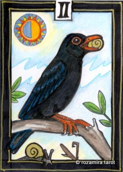 New Zealand Naturally Tarot