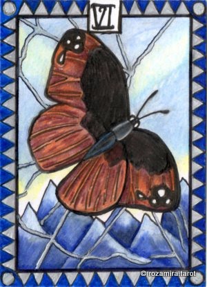 New Zealand Naturally Tarot