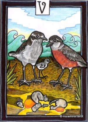 New Zealand Naturally Tarot