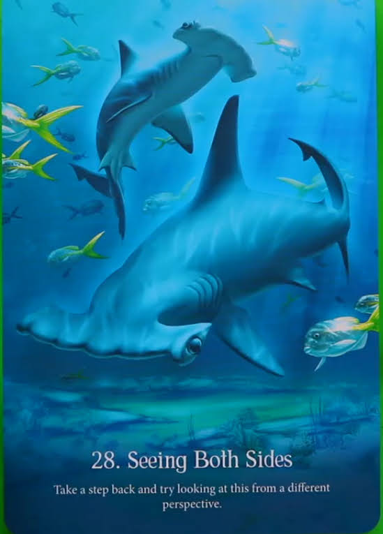 Whispers of the Ocean Oracle Cards