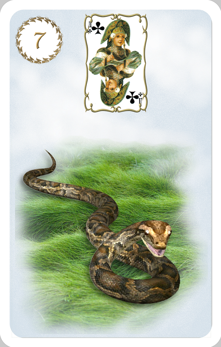 Alone΄s Vision Lenormand Cards