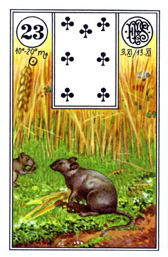 Lenormand - Jeu du Destin No. 194115