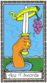 Miss Cleo's Tarot Power