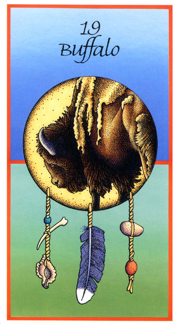 Medicine Cards - Целительные Карты