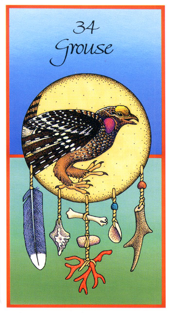 Medicine Cards - Целительные Карты