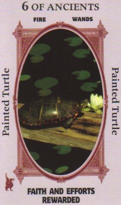 Animal Wise Tarot