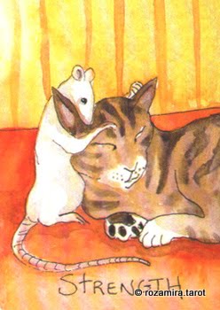 The TaRat (Rat Tarot) by Nakisha VanderHoeven