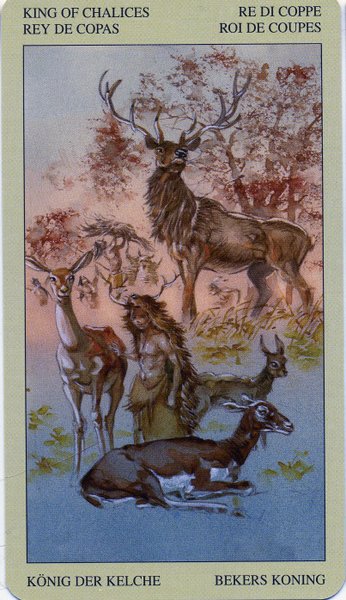 Native American Tarot by Laura Tuan