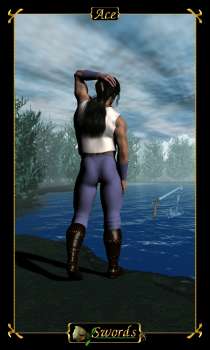 Tarot Deck of Heroes by Richard ShadowFox