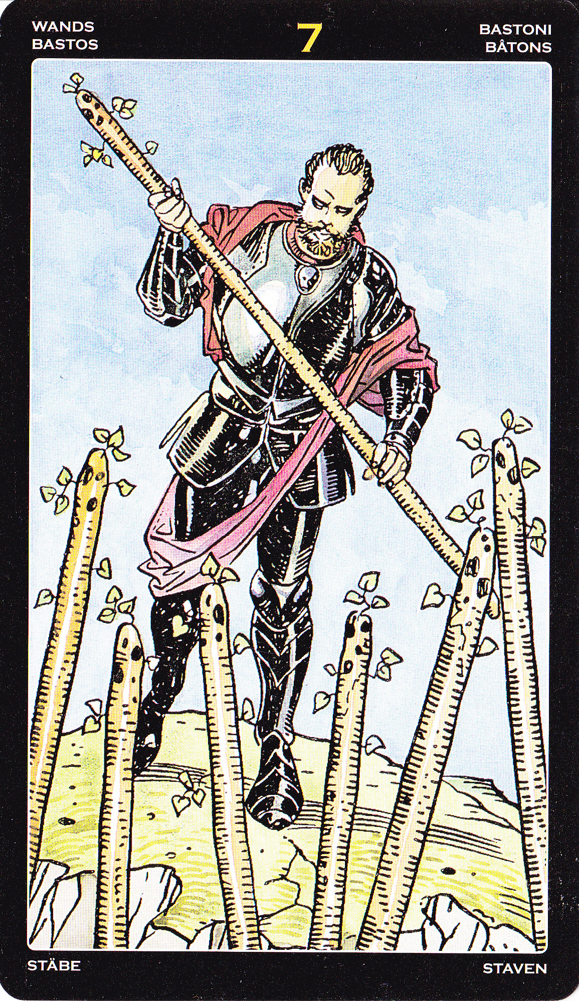 Универсальное профессиональное таро (большие)