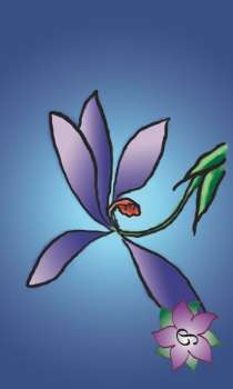 LongMoment Tarot by Greg Hoose