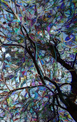 Fractal Firebird Tarot