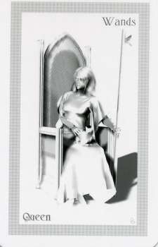 ShadowFox Tarot by Richard ShadowFox