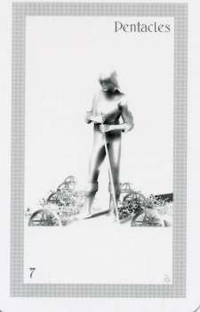 ShadowFox Tarot by Richard ShadowFox