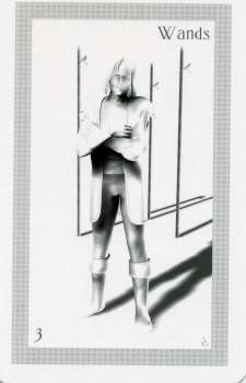 ShadowFox Tarot by Richard ShadowFox