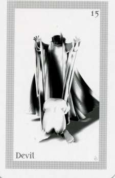 ShadowFox Tarot by Richard ShadowFox