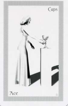 ShadowFox Tarot by Richard ShadowFox