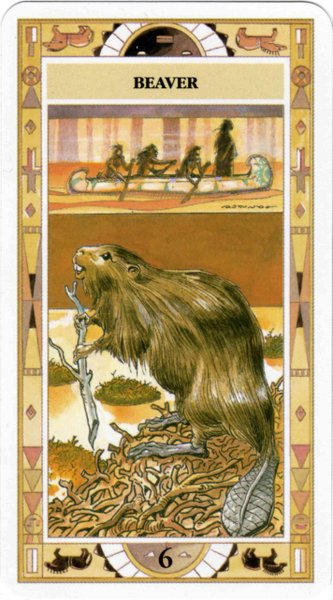 Native American Cards - Laura Tuan & Massimo Rotundo