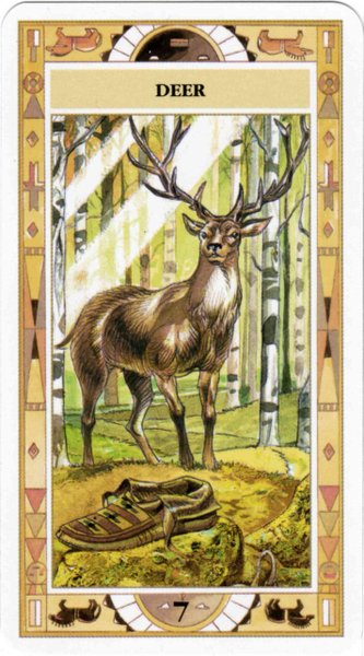 Native American Cards - Laura Tuan & Massimo Rotundo