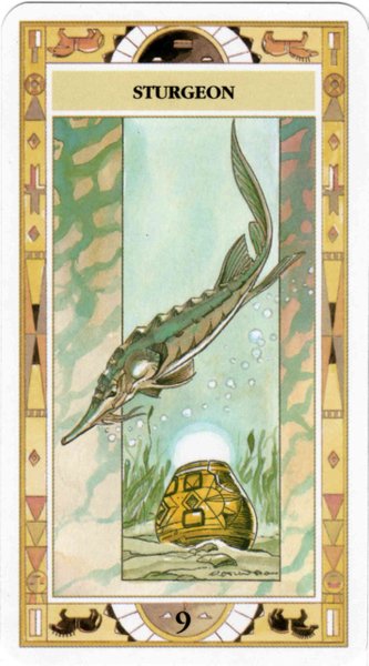 Native American Cards - Laura Tuan & Massimo Rotundo