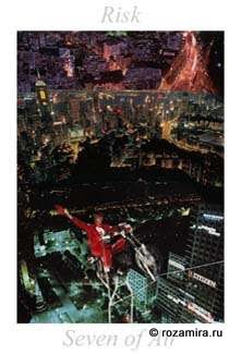 Nature Tarot by Jan Strube