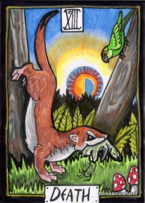 New Zealand Naturally Tarot